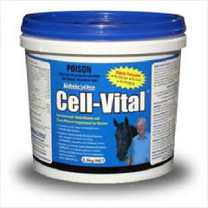 Kohnke Cell Vital 1.4kg