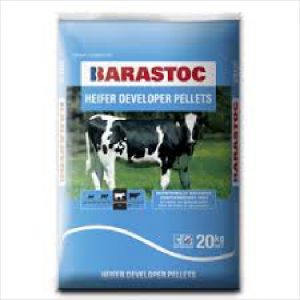 Rid Heifer Developer Pellet 20 Kg