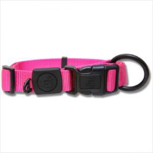 Bb Dog Collar Webbing 50cm Pink