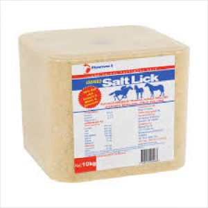 Ranvet Salt Lick (iodised) 10kg