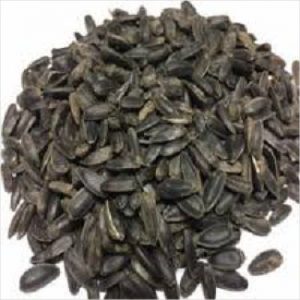 Pro-vit-min Black Sunflower 20kg