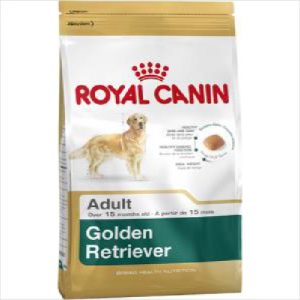 Rc Dog Golden Retrievor 12kg