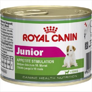 Rc Dog Mini Junior Wet 195g Can