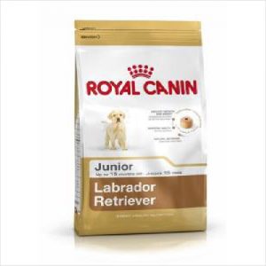 Rc Dog Labrador Retriever Junior 12kg