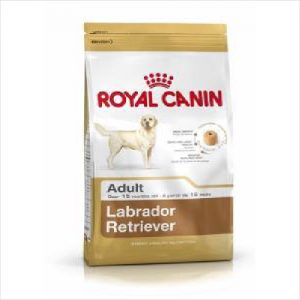 Rc Dog Labrador Retriever Adult 12kg