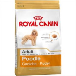 Rc Dog Poodle 1.5kg