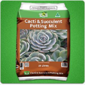 Gb Cacti Mix 25lt