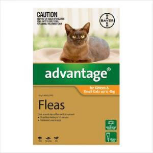 Bayer Advantage Cat 4kg Large 6pk