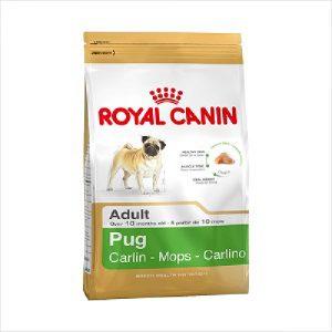 Rc Dog Pug 3kg