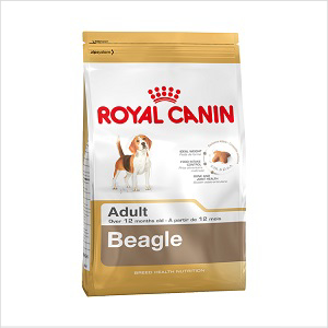 Rc Dog Beagle 3kg