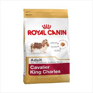 Rc Dog Cavalier King Charles 7.5kg