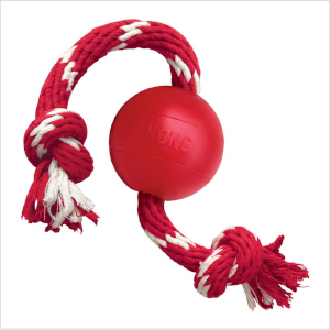 Kong Dog Small Ball With Rope