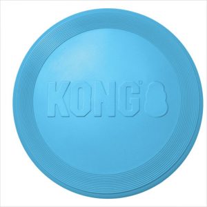 Kong Flyer Puppy